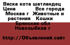 Вяска кота шатландец › Цена ­ 1 000 - Все города, Москва г. Животные и растения » Кошки   . Брянская обл.,Новозыбков г.